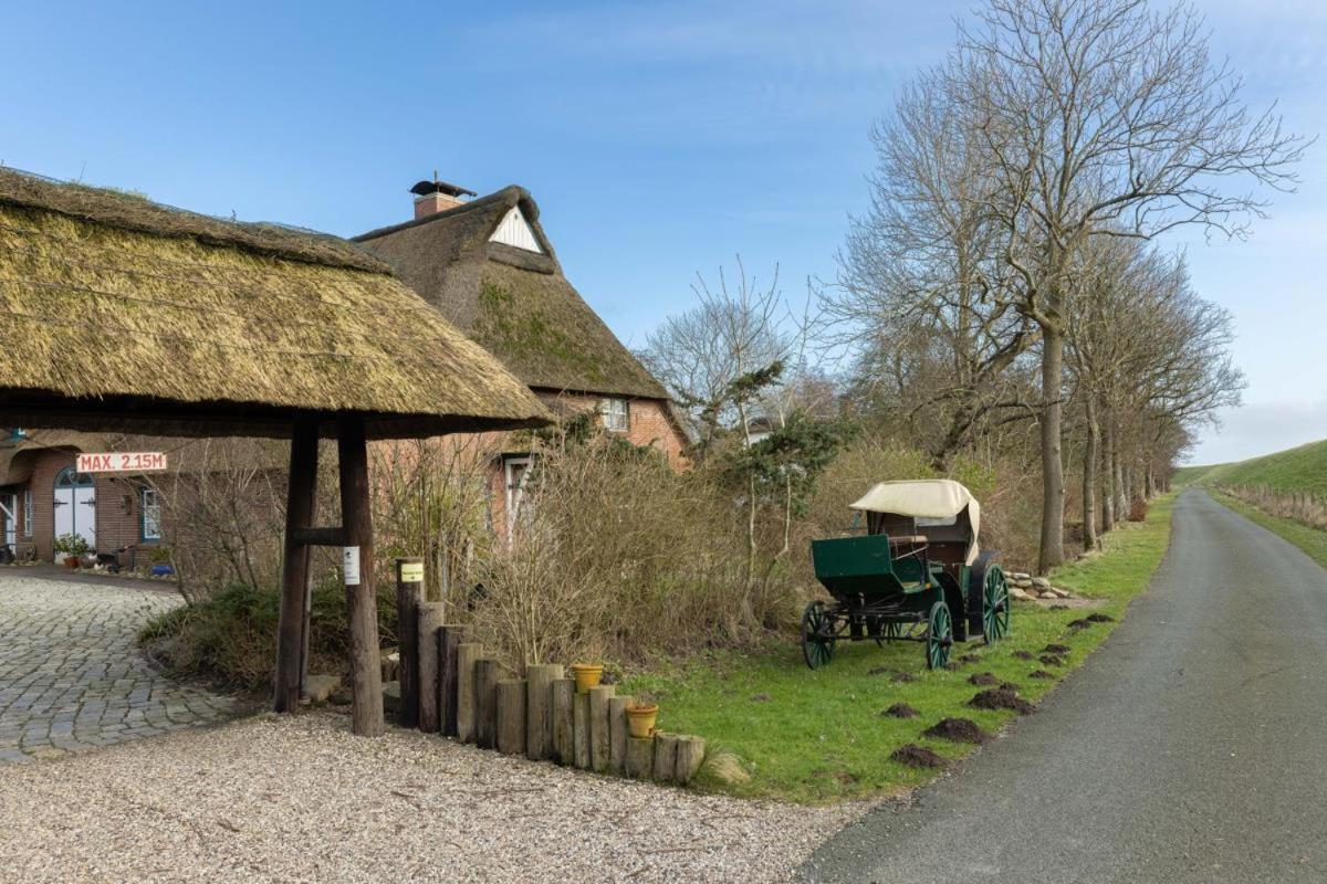 Villa Deichkrabbe Woehrden Exterior foto